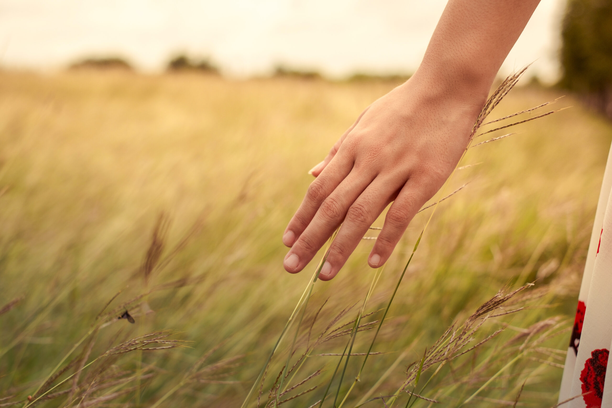 Empower Yourself: Take the First Step Towards Anxiety-Free Living Now!